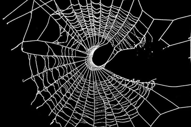 A white spider web with a crescent moon shape in the center on a black background.
