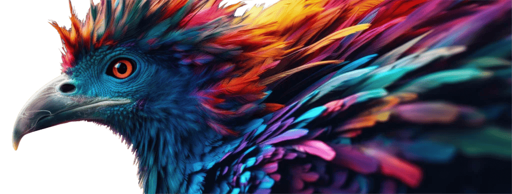 A colorful bird.