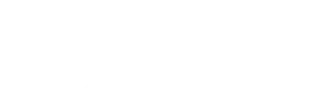 Veracity Vue Logo