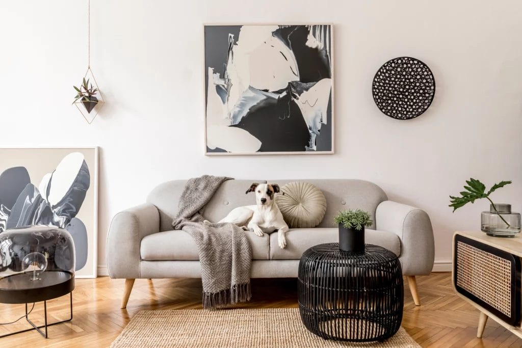 A styled living room with cool-tone abstract art prints, a gray sofa with a white-and-brown dog sitting upon it, black furniture accents, and a brown wooden floor.